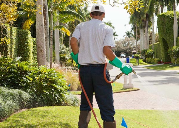 About Chandler AZ Pest Control Pros